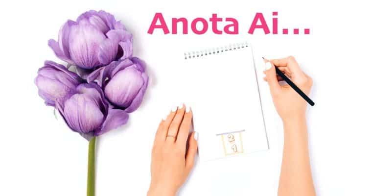 Kit essencial pós-compra: o que ter em casa (sem exagero)
